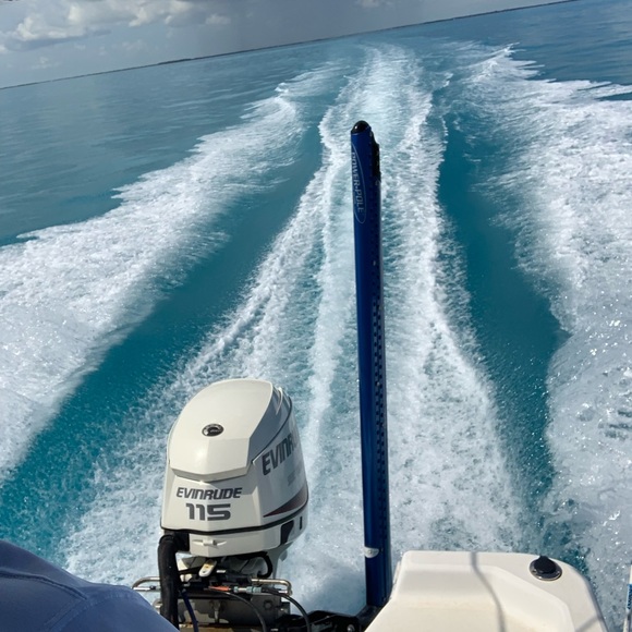 flaecoboost